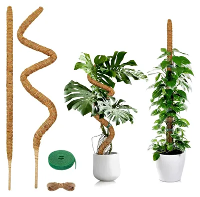 Produktbild von Moosstab für Pflanzen, 2 x 120 cm Biegsame Pflanzenstütze für Monstera mit Zubehör Handgefertigter Kokosstab für Indoor Kletterpflanzen