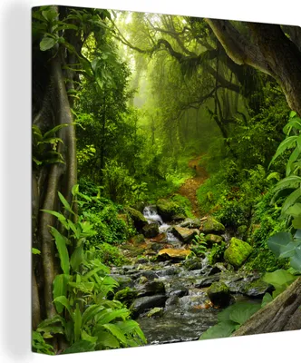 Produktbild von MuchoWow® - Leinwandbilder - Natur - Wasser - Dschungel - Wald - Tropisch, Wandbild, Wanddeko Bilder Wohnzimmer, 20x20 cm