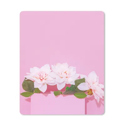 Produktbild von MuchoWow® Mauspad Mousepad Blüte - Sommer - Rosa 30x40 cm - Mousepads - Maus Mat - Pad - Mausunterlage - Mausmatten