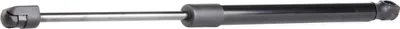 Produktbild von RIDEX 219G0419 Gasfeder Heckklappendämpfer für AUDI A8 (4E2, 4E8) 408mm