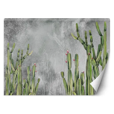 Produktbild von Großer Wüstenkaktus FOTOTAPETE XXL 400X280 cm VLIES Tapete Wandtapete Wandbilder Wanddekoration Design Wohnzimmer Schlafzimmer Flur Büro Küche TAP-8-TYK-TF-17975-400x280