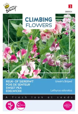 Image de Buzzy Climbing Flowers Lathyrus Unwin's Striped Graines - Environ 4 gr | Buzzy_080934