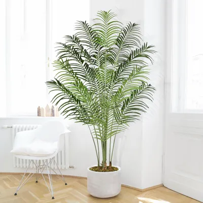 Image de Grande plante artificielle, 200 cm, plante artificielle en pot, palmier artificiel en plastique, aspect très réaliste, plantes artificielles, décoration pour le salon, le balcon, la chambre à coucher, le bureau, cadeau idéal pour un emménagement (1 pièce)