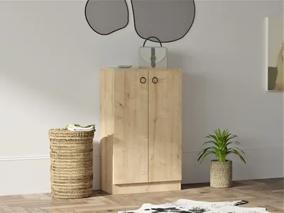 Zdjęcie produktu dla Skye Decor, Defne- Defne DCM, Saphir, szafka na buty, 100x60x31,6 cm, 100% płyta wiórowa pokryta melaminą