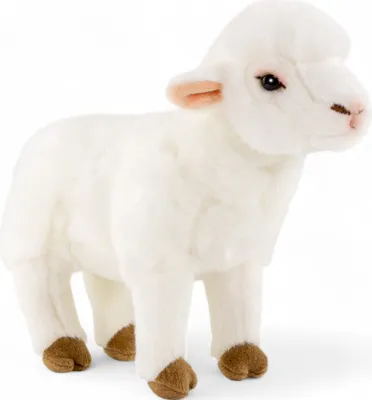 Zdjęcie produktu dla Carl Dick owieczka, baranek stojący ok. 28cm pluszak, miękka zabawka, przytulanka 3665