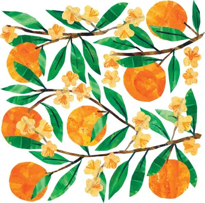 Produktbild von 20 Servietten Tracey´s Orangina - Welt voller Orangen 33x33cm