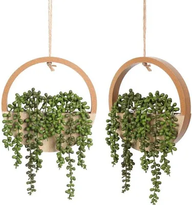 Image de Plantes artificielles, chaîne de suspension de 31,75 cm aspect bois avec cordon de 21,59 cm pour décoration murale, lot de 2