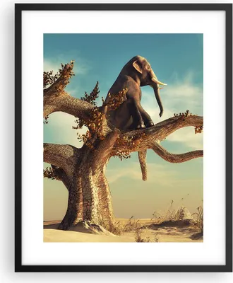 Produktbild von Gerahmtes Poster - Schwarzer Rahmen - Sitzen Elefant Baum - 40x50 cm - Wand Bild - Wanddeko - Wandbilder - Kunstposter - Wandposter - Bilderrahmen - Bilder - Kunstdruck - Wandbild - P2BPA40x50-4345