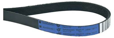 A close-up, studio shot of a black multi-ribbed belt with blue labeling.