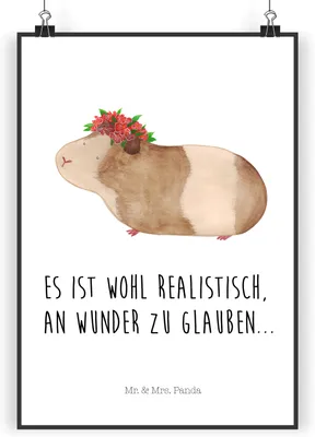Produktbild von Mr. & Mrs. Panda Bild Meerschweinchen Weisheit DIN A3 - Weiß - Geschenk, Wunder, kunstdruck poster, Wunderland, drucke, Plakat, wanddeko, Motivation, Spruch, Wandbild