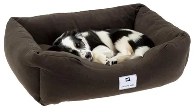 Image de Ferplast : Panier pour chien, canapé pour chien, lit pour chat COCCOLO, en microfibre douce, modèle 60