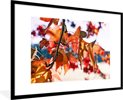 Produktbild von MuchoWow® Gerahmtes Poster Ahorn - Blätter - Rustikal - Herbst 90x60 cm - Poster mit Schwarzem Bilderrahmen Wandposter Rahmen Foto Bilder - Wanddekoration - Fotos