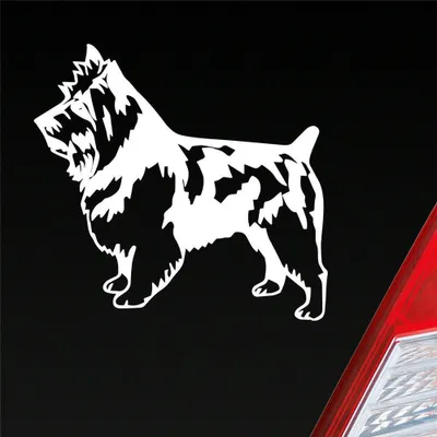 Produktbild von Auto Aufkleber Terrier Tier Hund Dog Animal 11x10 cm Weiss Glanz Sticker Heckscheibenaufkleber