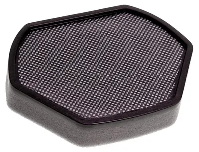 Staubsaugerfilter, kompatibel mit Bosch 12012937, 21 x 30 cm
