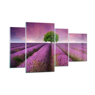 Produktbild von Bilder auf glas - Wiese lavenda Sommer Landschaft - 120x70cm - Glasbilder - Wandbilder - Kunstdruck - zum Aufhängen bereit - Wanddekoration aus Glas - Glas Bilder - Wandbild auf Glas - GDL120x70-2605