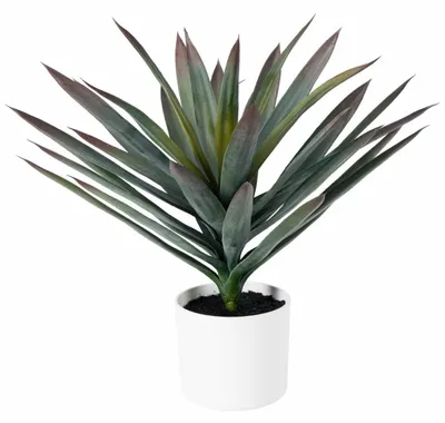 Image de HOWHOMELY | Plante artificielle - Plante en pot - 50 cm - verte - Plante décorative - pour la maison - le jardin