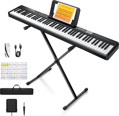 Immagine prodotto di Donner DEP-1, tastiera digitale per pianoforte con 88 tasti, ideale per principianti. Tastiera sensibile alla velocità, pianoforte elettronico portatile con supporto, pedale di sustain, custodia e adesivi per tasti – colore nero