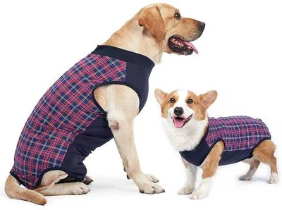 Productafbeelding van Herstelpak voor Honden na Chirurgie met Bescherming tegen Likken
