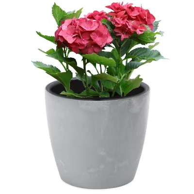 Produktbild von Blumentopf Blumenübertopf Beton Optik Grau Runde 15,5cm H 13,7cm Oberfläche Matt Kunststoff Modern Glamour