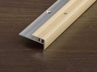Produktbild von PROLINE Champagne 28 mm Treppenkantenprofil, Treppenschutzprofil Aluminium Eloxiert, Universalprofil für Hartbodenbeläge, Einfache Verlegung, Höhenausgleich 6 5 bis 15 mm