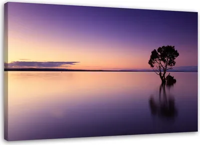 Produktbild von Leinwandbild baum auf see natur 90x60 cm Feeby lila wandbild bereit zum aufhängen