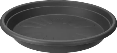 A dark gray plant saucer is shown from a slightly elevated angle against a white background.