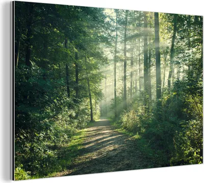 Produktbild von MuchoWow Wanddekoration Metall Metallbild Wandkunst 90x60 cm Wald - Weg - Sonne - Bäume - Grün - Natur MuchoWow Aluminium Gemälde - Wandbilder