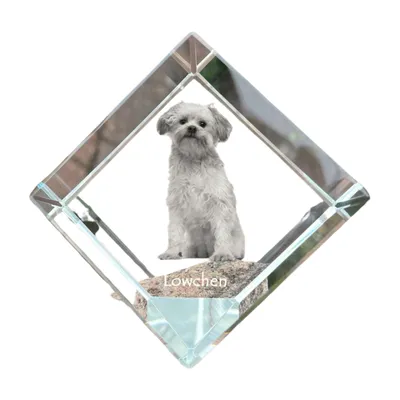 Produktbild von Löwchen Kristallwürfel mit Hund Art-Dog