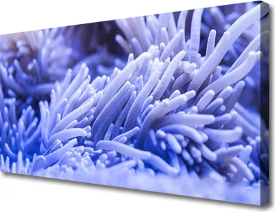Produktbild von Tulup Leinwand-Bilder 100x50 Wandbild Canvas Kunstdruck Abstrakt Kunst
