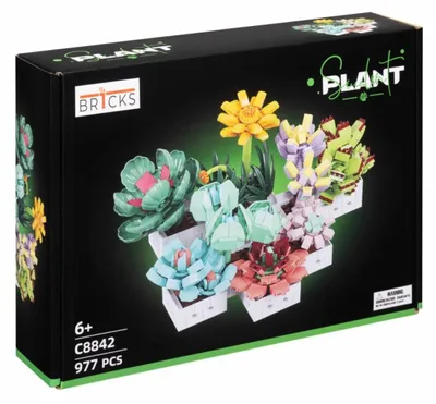 Image de Ensembles de construction Br1cks, figurines de succulentes et de cactus