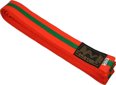Produktbild von TEKKA BUDO Kampfsport Gürtel mit Mittelstreifen orange-grün 280 cm 2-farbig - Budogürtel, Karate, Judo, Taekwondo, Ju-Jutsu