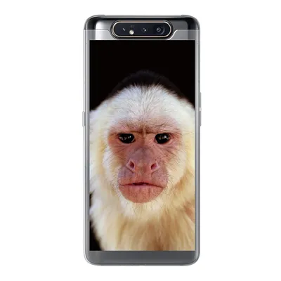 Produktbild von MuchoWow® Handyhülle Schutzhülle Hülle für Samsung Galaxy A80 Affe - Fell - Schwarz Silikon Softcase Handy Hülle - Schutzdeckel
