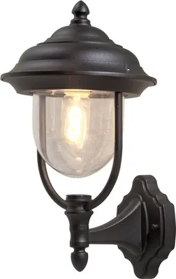A black outdoor wall light with a clear glass shade and an illuminated bulb.