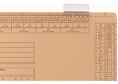 Produktbild von ELBA Vollsichtreiter 100552031 3zeilig 50x75mm tr 50 St./Pack.