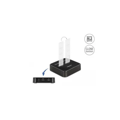 Image de DELOCK Station d'accueil M.2 pour 2xM.2 SATA SSD avec clonage