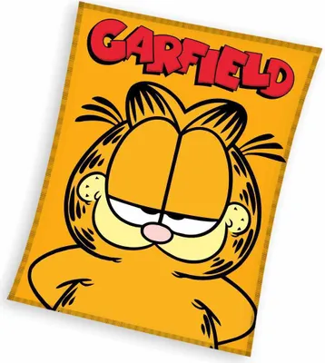 Obrázek produktu pro Dětská deka Kocour Garfield 130x170 cm