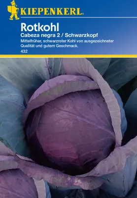 Produktbild von Kiepenkerl Rotkohlsamen Roodkop