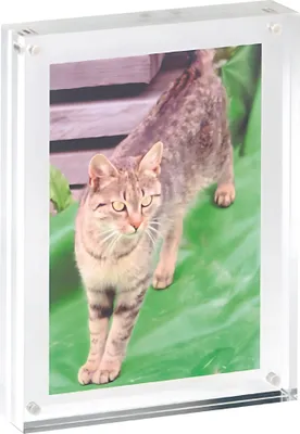 Image de MAUL Cadre photo MAULstyle acrylique fermeture magnétique 17.8 x 12.7 x 3 cm transparent