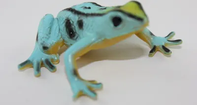 Produktbild von Cornelissen - 821089 - Pfeilgiftfrosch, Frosch, blau, 4cm, PVC