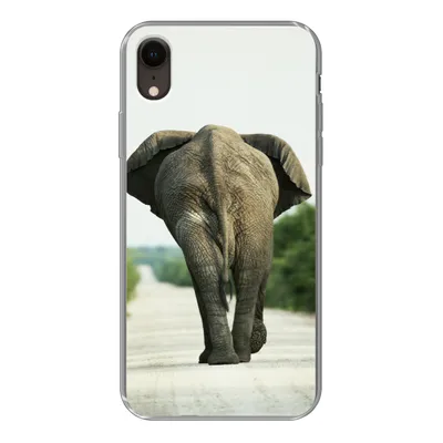 Produktbild von MuchoWow® Handyhülle Schutzhülle Hülle für iPhone XR Elefant - Kröte - Tiere - Natur Silikon Softcase Handy Hülle - Schutzdeckel