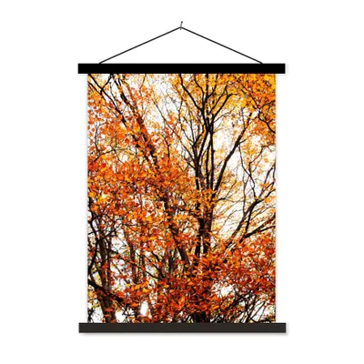 Produktbild von MuchoWow® Textilposter Wald - Herbst - Jahreszeiten 40x53 cm mit schwarzem Rahmen - Abbildung