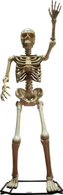 Produktbild von Stehendes XXL Skelett | 335 cm - Halloween Dekoration