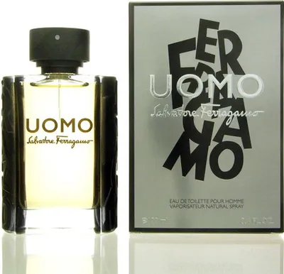 Produktbild von Salvatore Ferragamo Uomo EDT 100 ml M