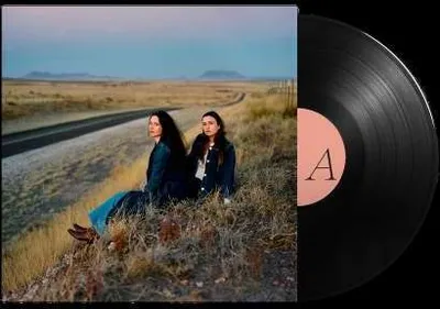 Zdjęcie produktu dla Plains: I Walked With You A Ways - (LP / I)