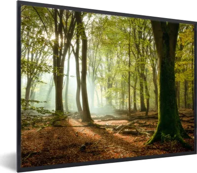 Produktbild von MuchoWow® Gerahmtes Poster Wald - Sonne - Jahreszeiten - Landschaft 80x60 cm - Poster mit Schwarzem Bilderrahmen Wandposter Rahmen Foto Bilder - Schwarzem - Mit Gestell