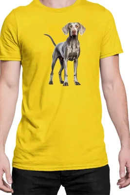 Produktbild von Herren T-Shirt Dogs Breeds Weimaraner Dog Breed 005, Man L / Gelb