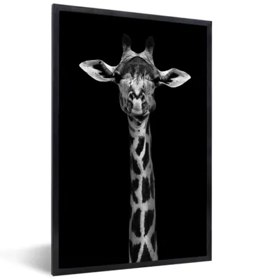 Produktbild von MuchoWow® Gerahmtes Poster Giraffe - Tiere - Porträt - Schwarz 60x90 cm - Poster mit Schwarzem Bilderrahmen Wandposter Rahmen Foto Bilder - Kunst