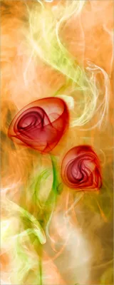 Produktbild von Wallario Poster - Abstrakte Rosen, Kunstdruck Größe: 50 x 125 cm