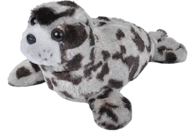 A plush toy seal on a white background.