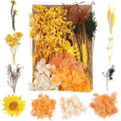 Produktbild von Trockenblumen Set Gemischt Gelb für Basteln & Deko